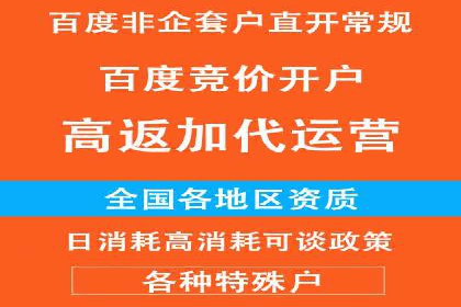 竞价广告赚钱：百度平台案例分析